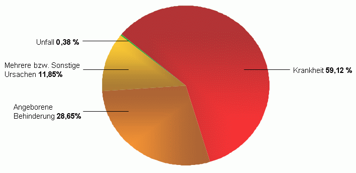 Statistik für die Ursachen von Schwerbehindeungen bei Kindern